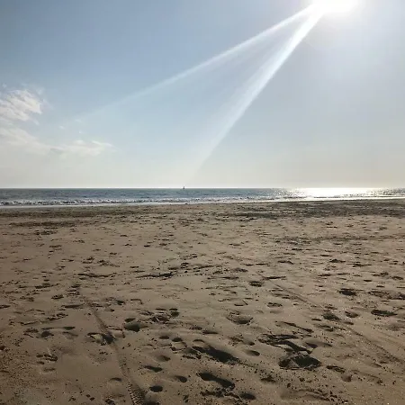 26 Avenue Des Tilleuls 아파트